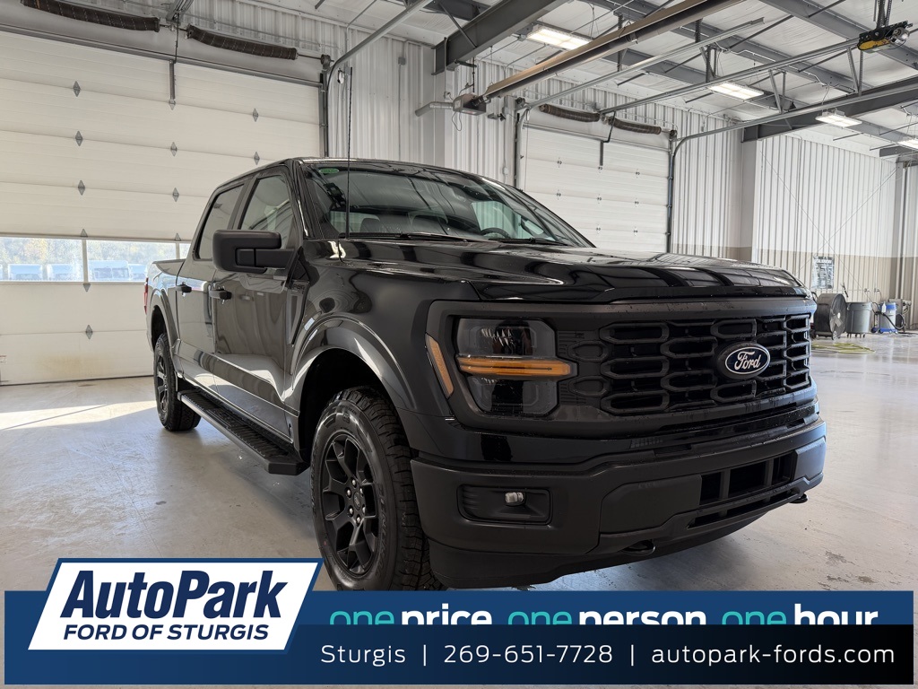 2025 Ford F-150 STX's photo