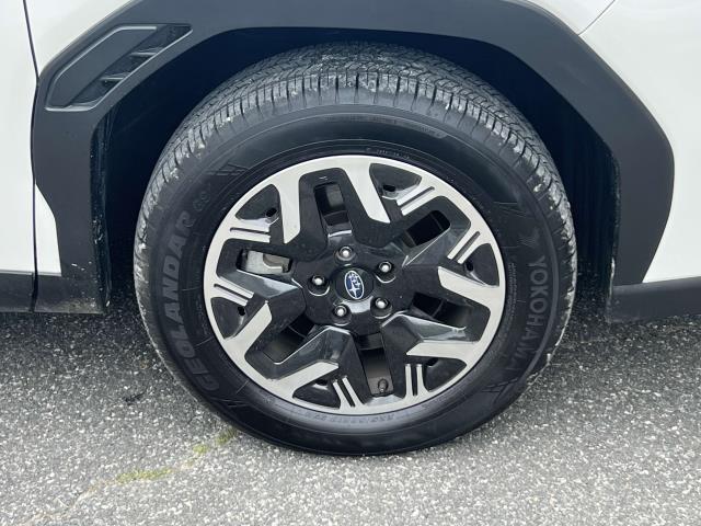 2025 Subaru Forester Premium Base photo 4
