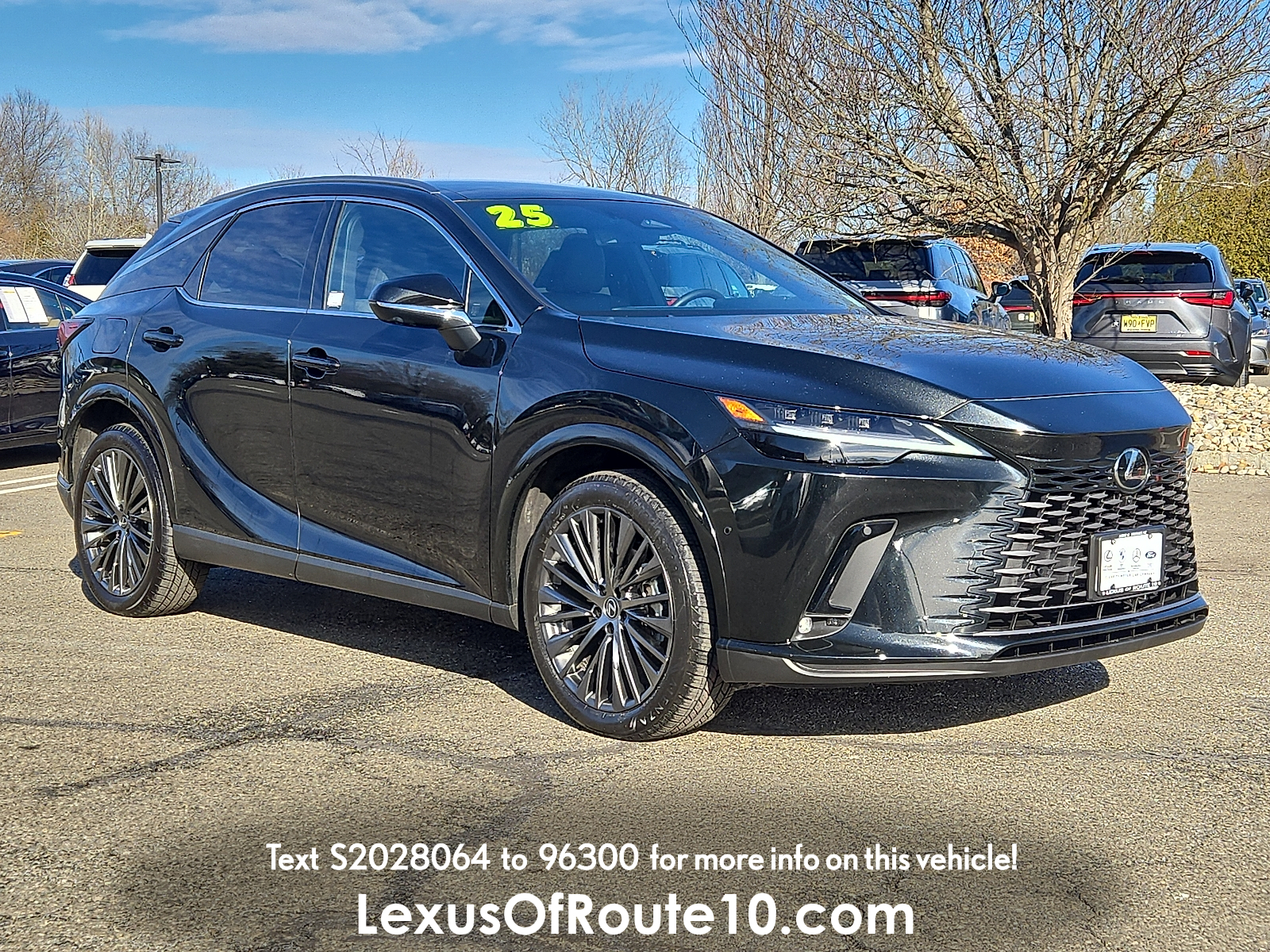 2025 Lexus RX Base's photo