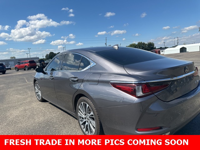 2019 Lexus ES 350 Ultra Luxury photo 15
