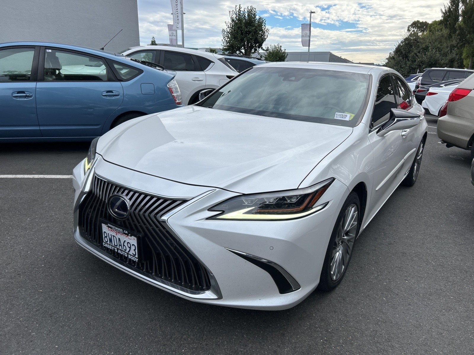 2021 Lexus ES 300h Luxury photo 3
