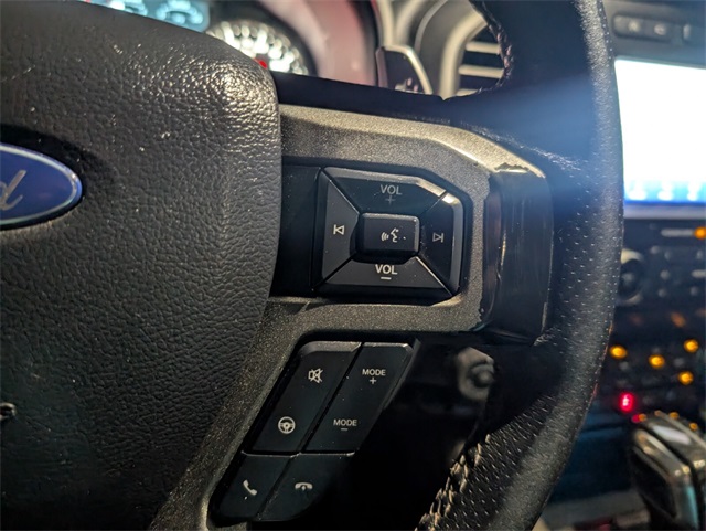2020 Ford F-150 Raptor photo 17