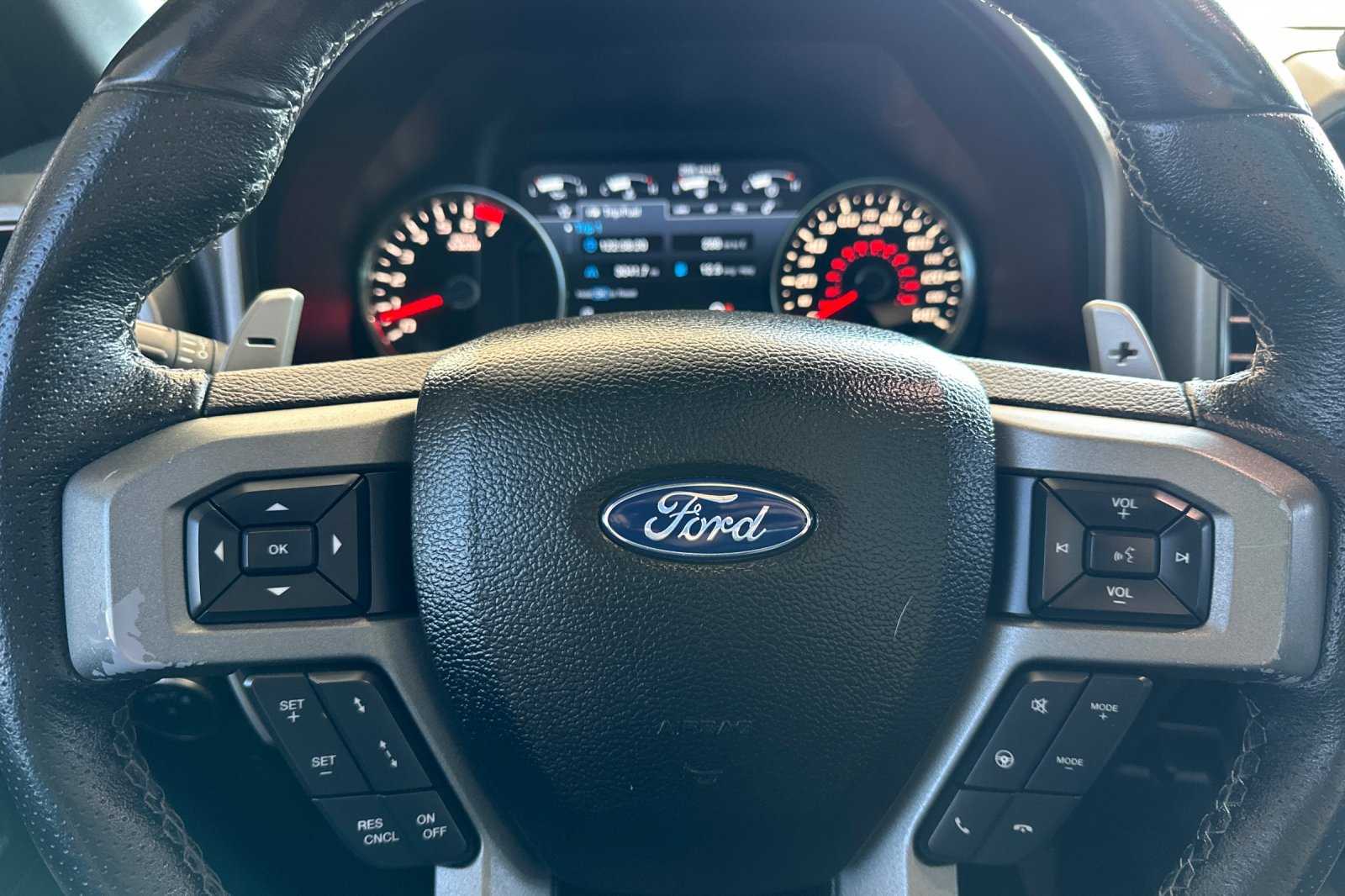 2017 Ford F-150 Raptor photo 24