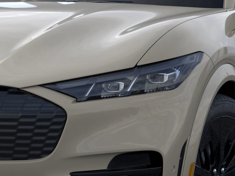 2025 Ford Mustang Mach-E GT photo 15
