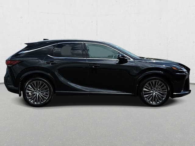 2024 Lexus RX 350 Luxury photo 4