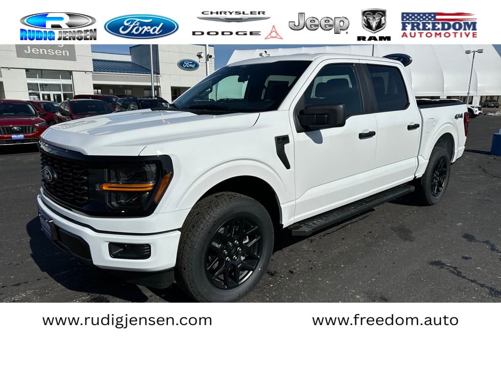 2025 Ford F-150 STX's photo