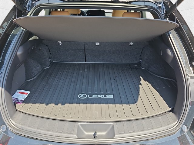 2025 Lexus UX Premium photo 12