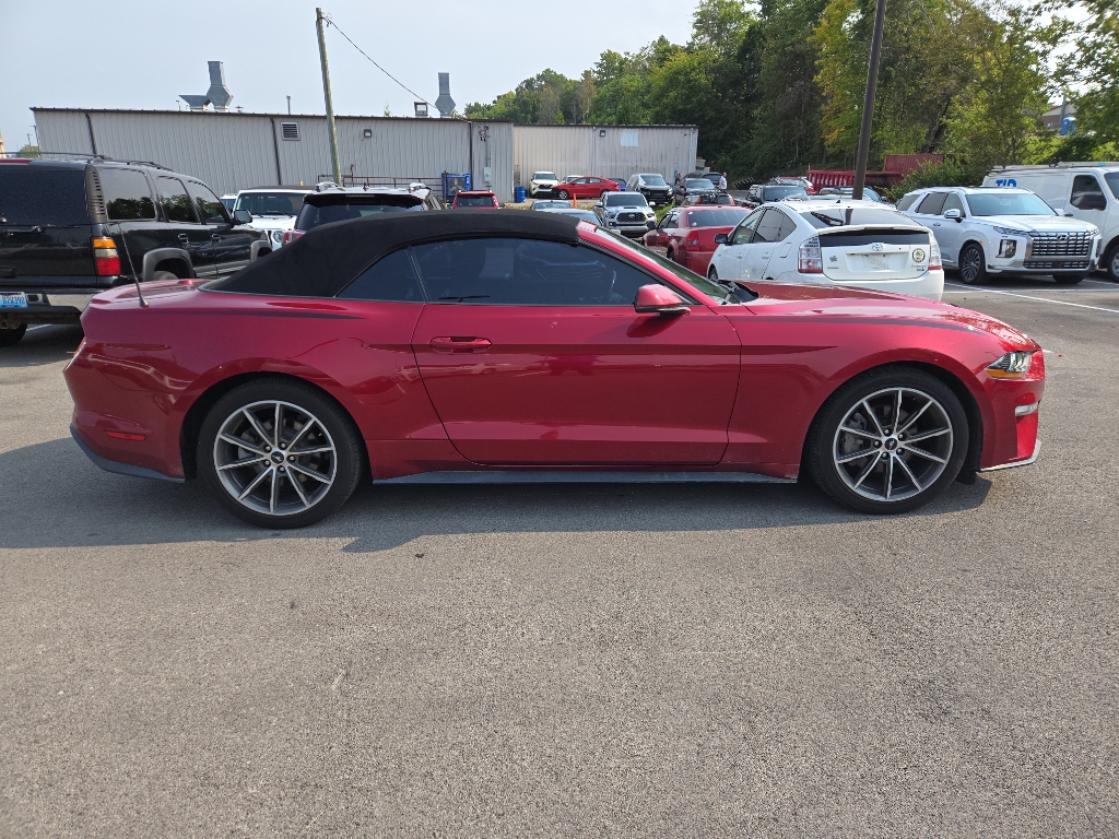 2019 Ford Mustang EcoBoost Premium photo 2