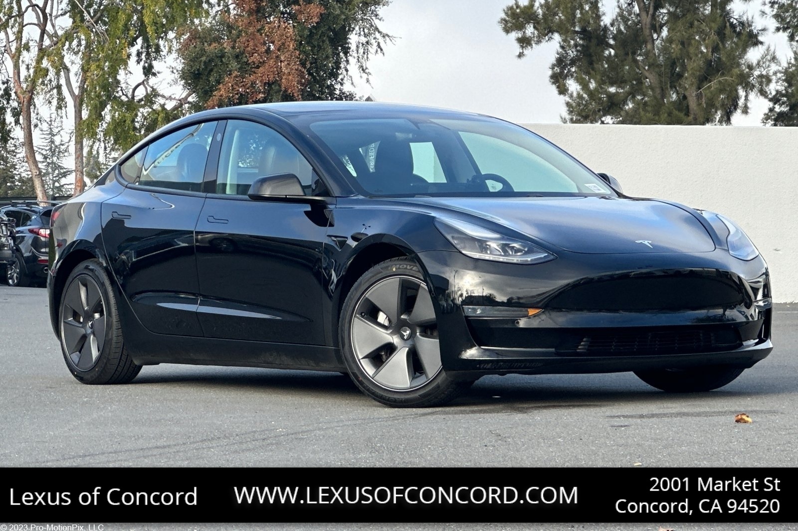 2021 Tesla Model 3 Base's photo