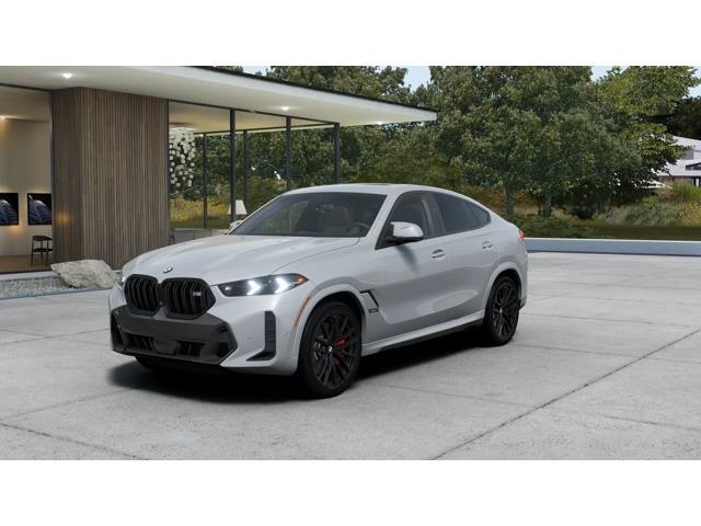 2026 BMW X6