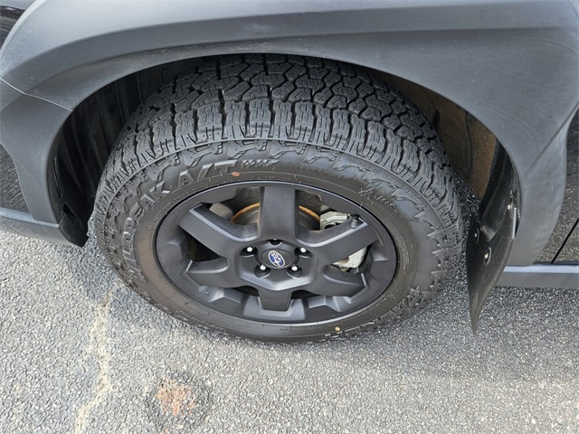 2023 Subaru Outback Wilderness photo 6