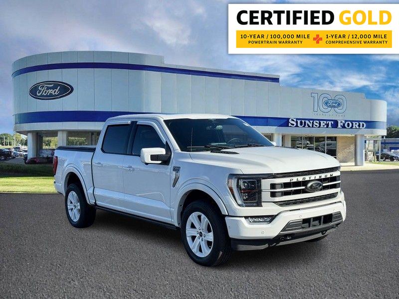 2023 Ford F-150 Platinum's photo