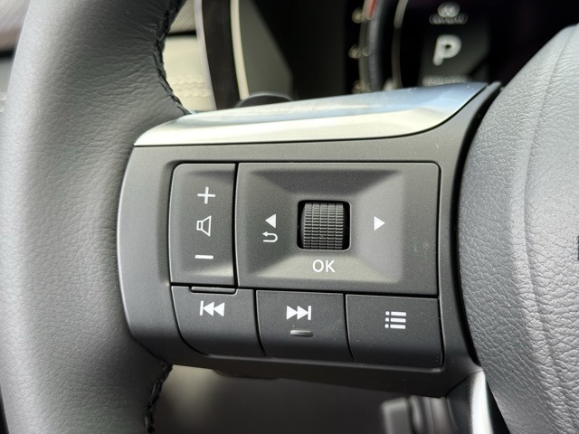 2025 Infiniti QX60 Luxe photo 25