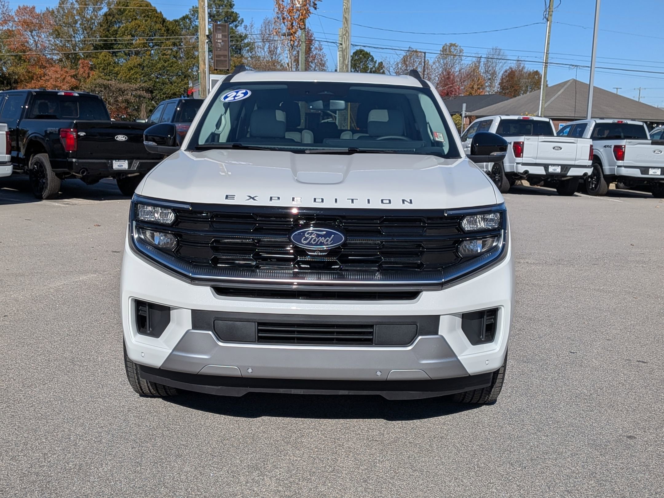2025 Ford Expedition Platinum MAX photo 4