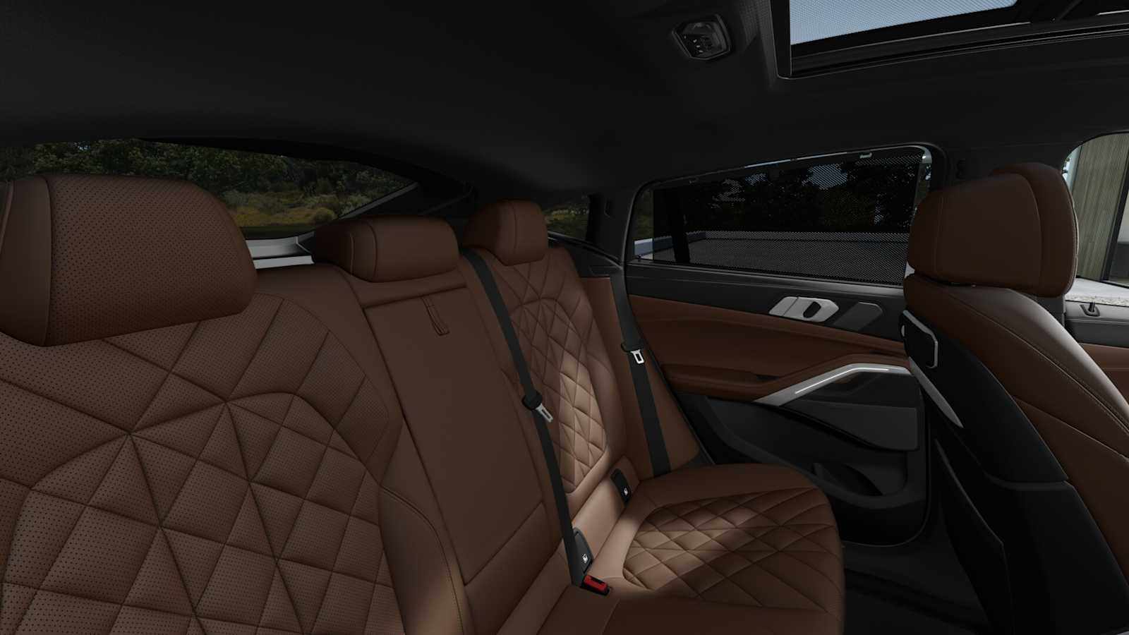 2026 Bmw X6 xDrive40i photo 10