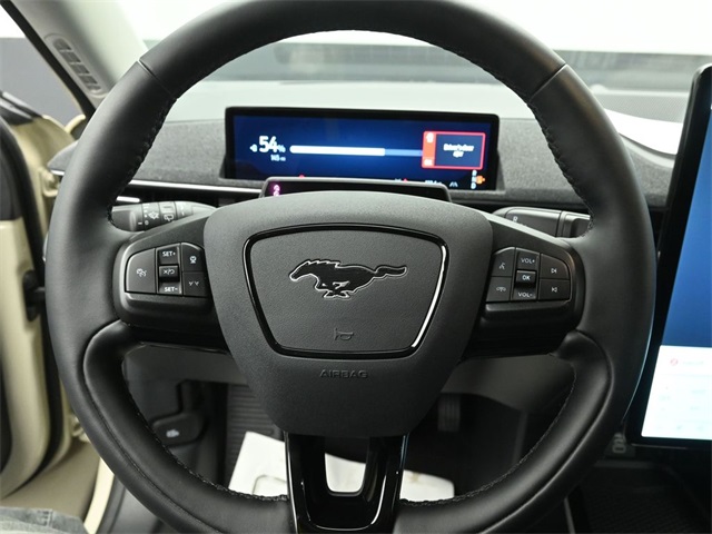 2025 FORD MUSTANG MACH-E - Image 15
