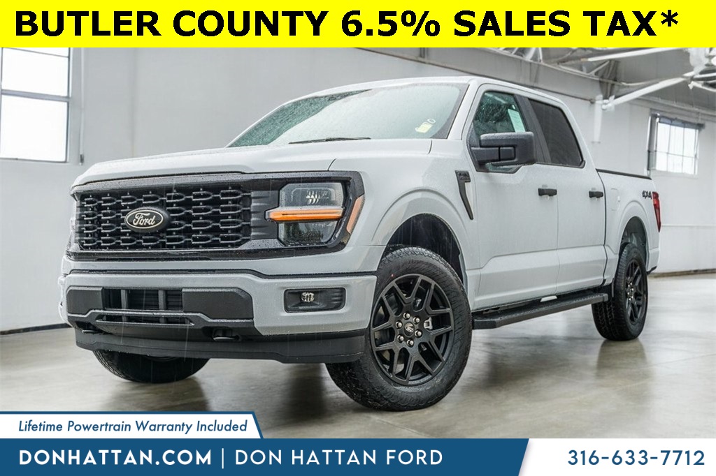 2025 Ford F-150 STX's photo