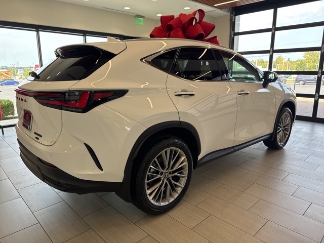 2026 Lexus NX 350h Premium AWD photo 6