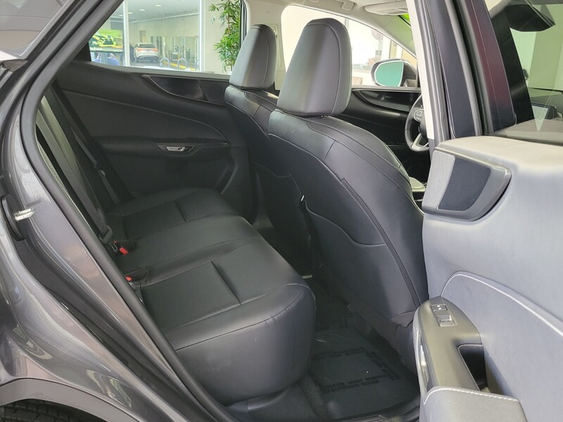 2024 Lexus NX 250 photo 14