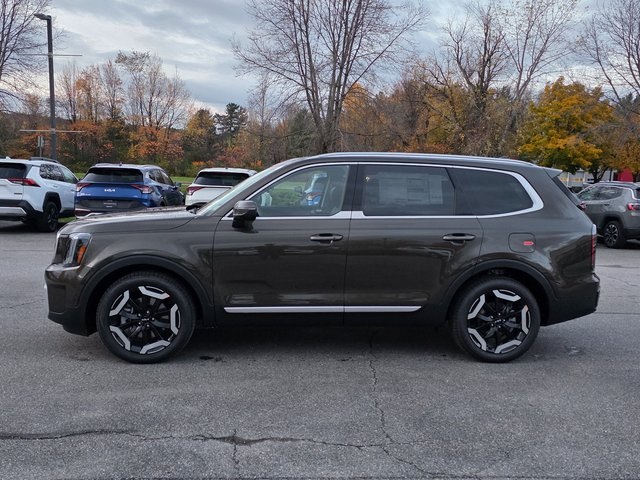 2025 Kia Telluride EX photo 4