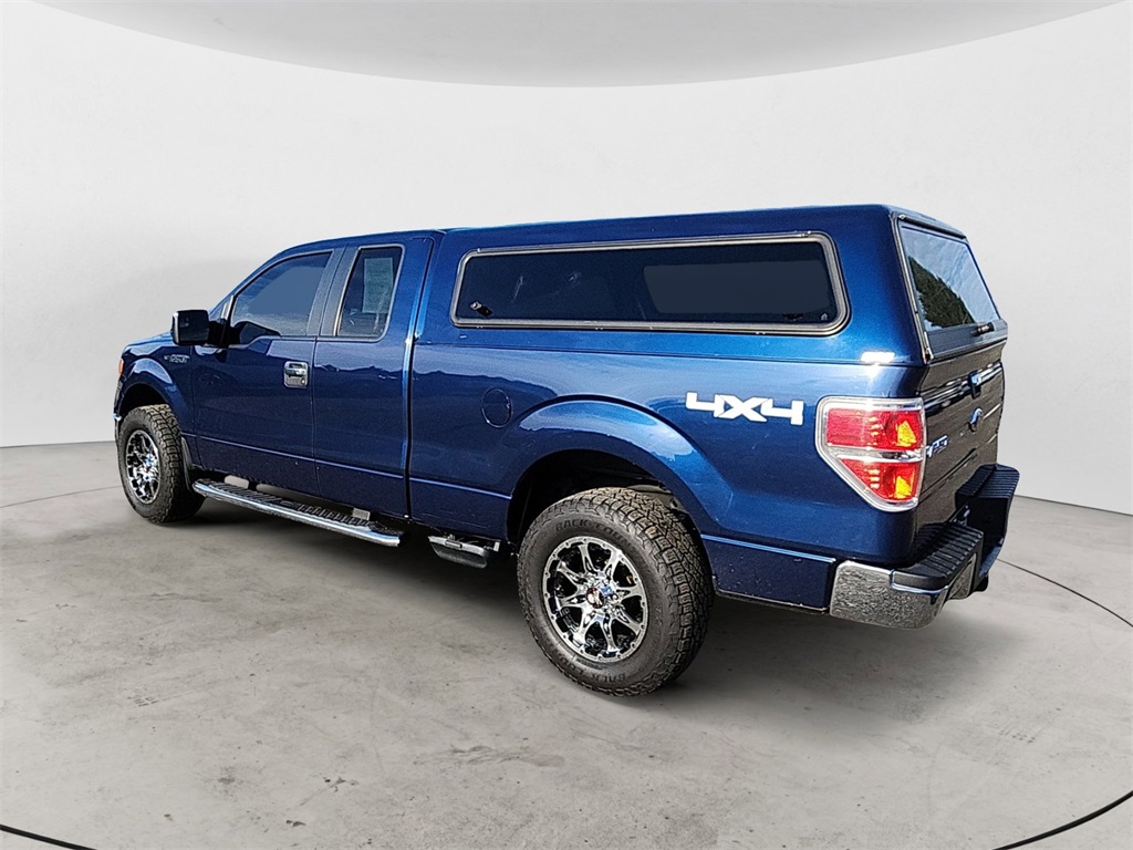 2010 Ford F-150 photo 2