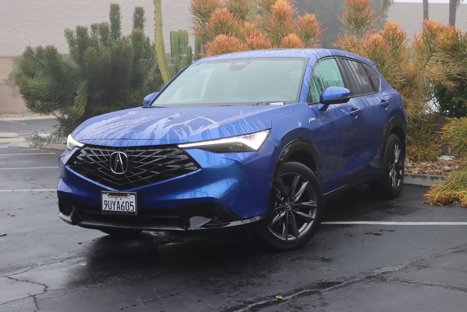 2025 Acura ADX A-Spec Package's photo