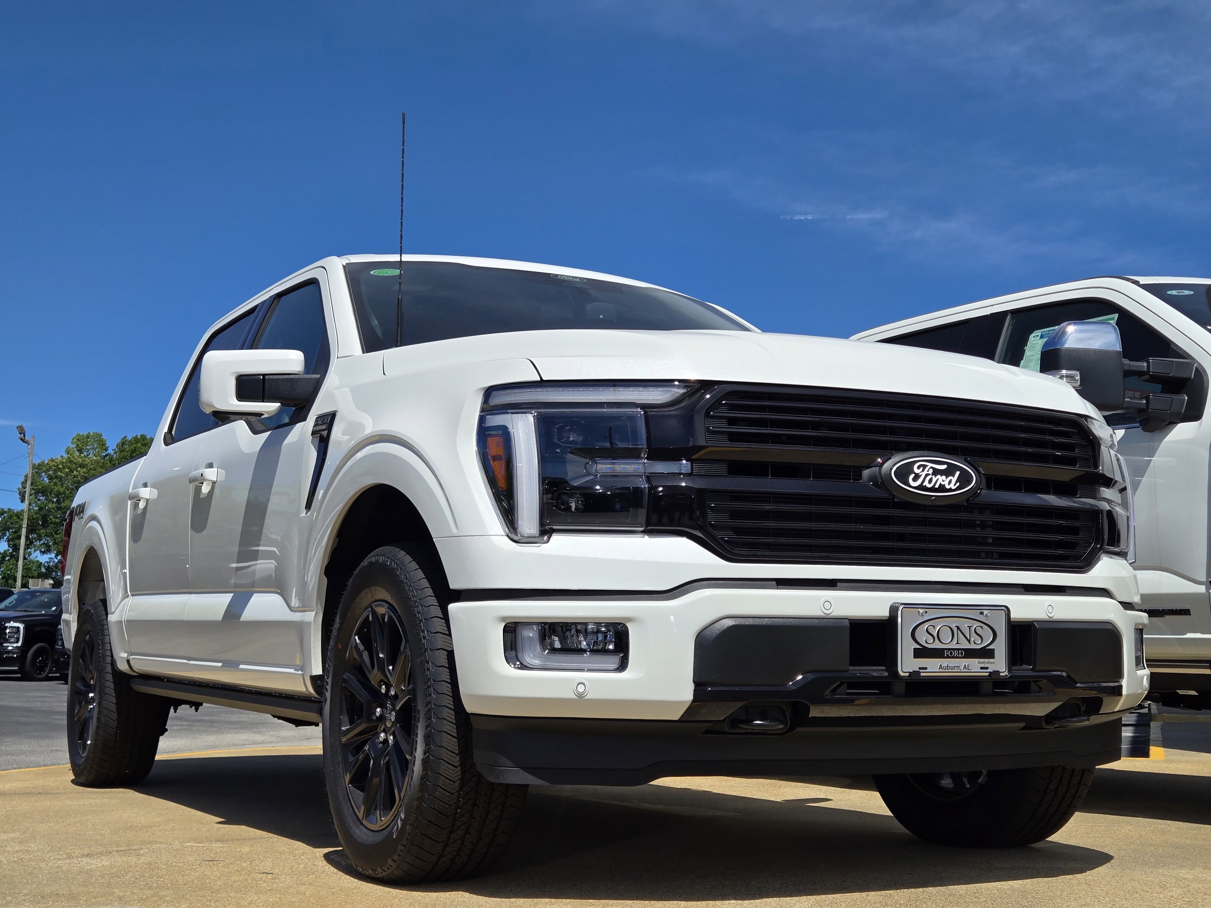 2025 Ford F-150 Platinum photo 2