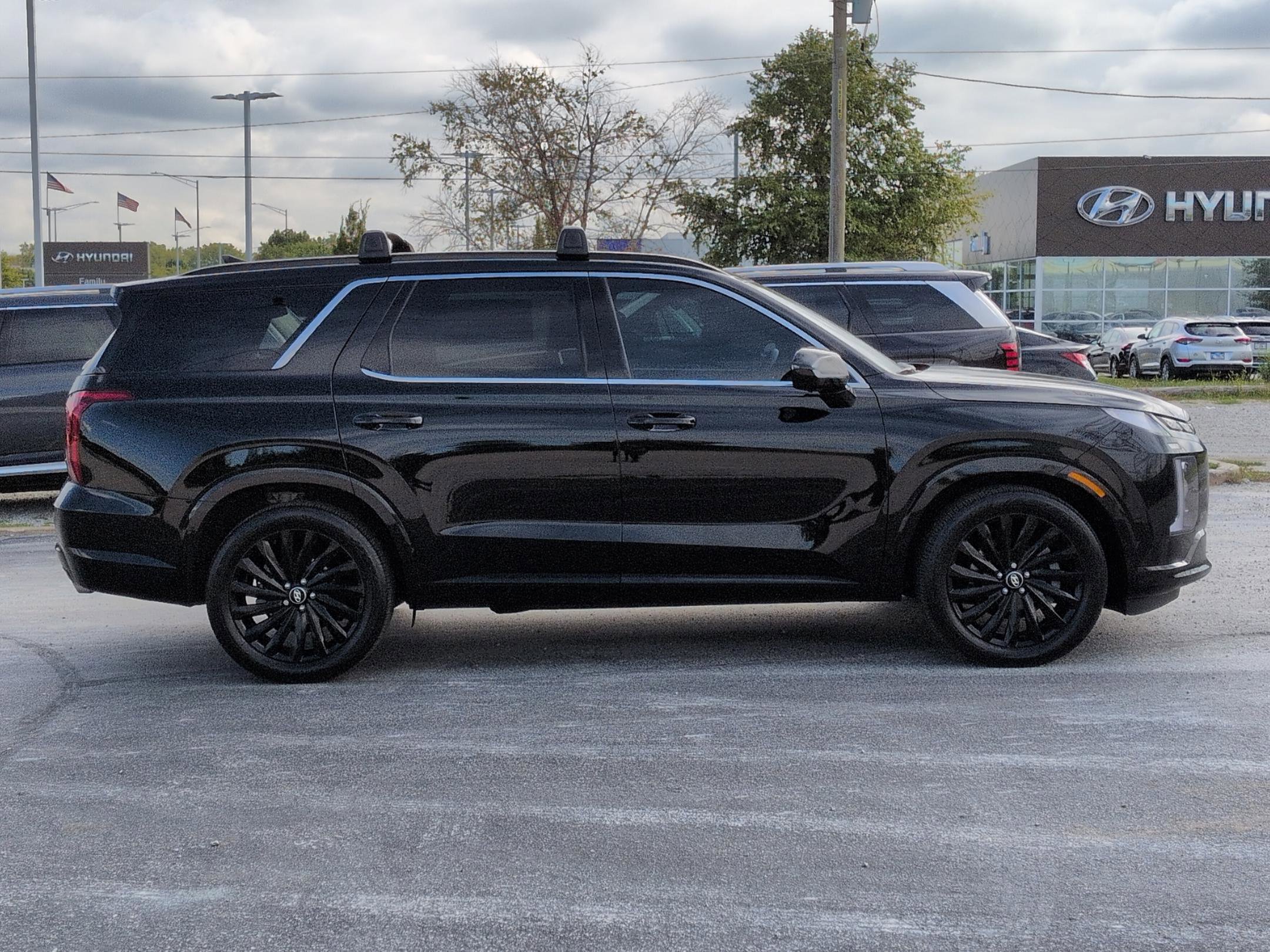 2025 Hyundai Palisade Calligraphy photo 2
