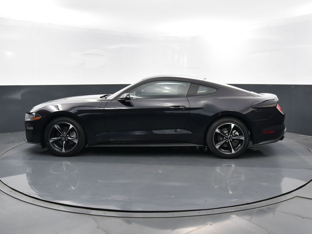 2022 Ford Mustang EcoBoost photo 4
