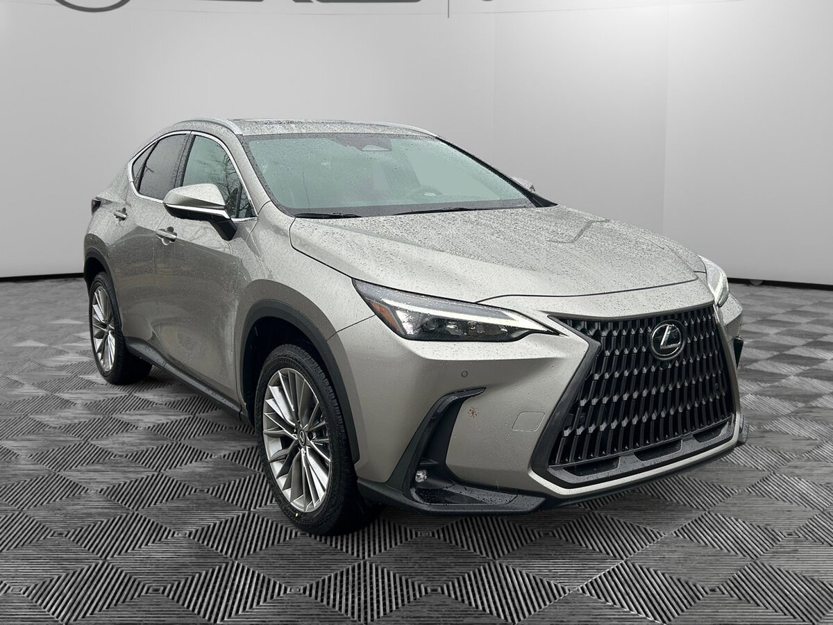 2026 Lexus NX 350's photo