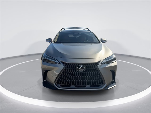 2024 Lexus NX 350h Luxury photo 3