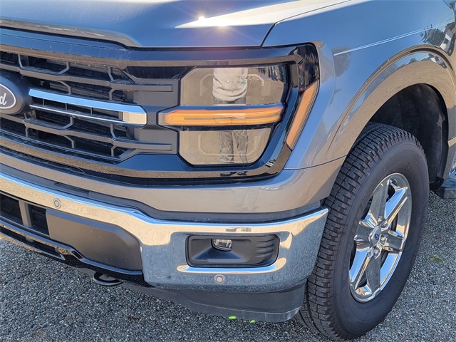 2024 Ford F-150 XLT photo 11