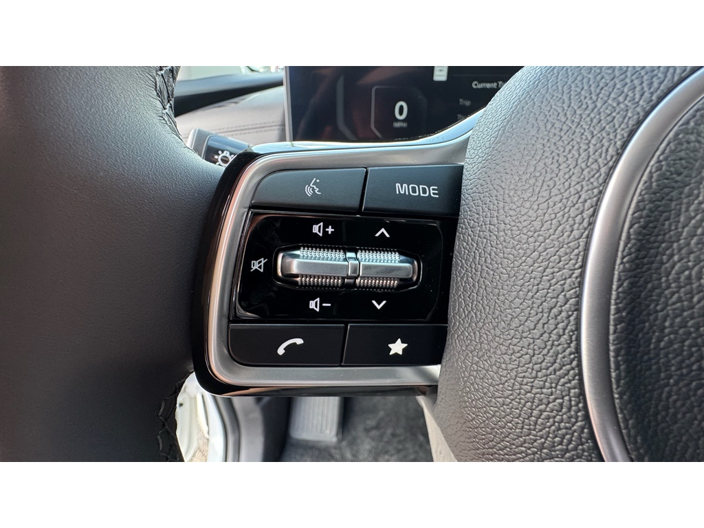 2026 Kia Carnival SX Prestige photo 9
