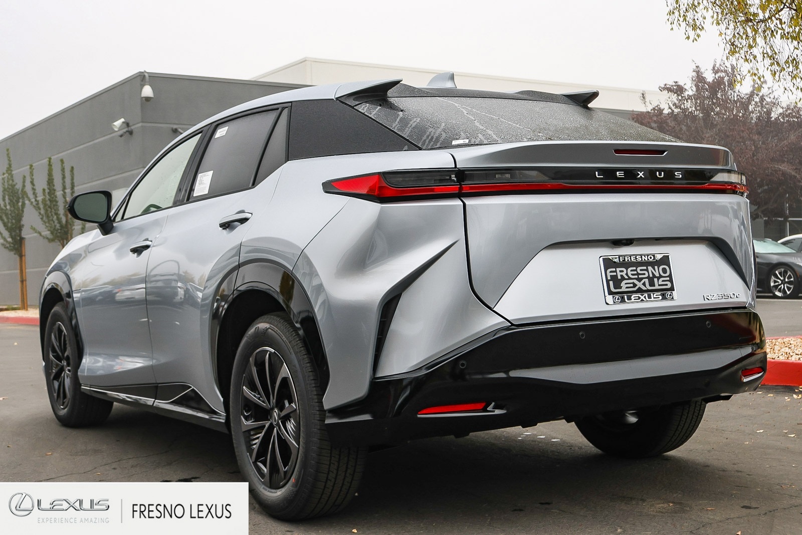 2026 Lexus RZ photo 4