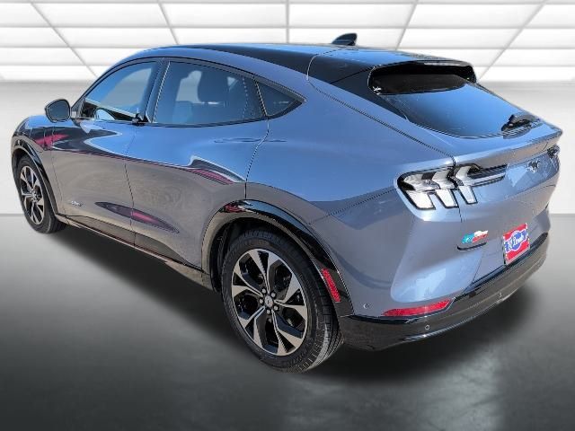 2021 Ford Mustang Mach-E Premium photo 2