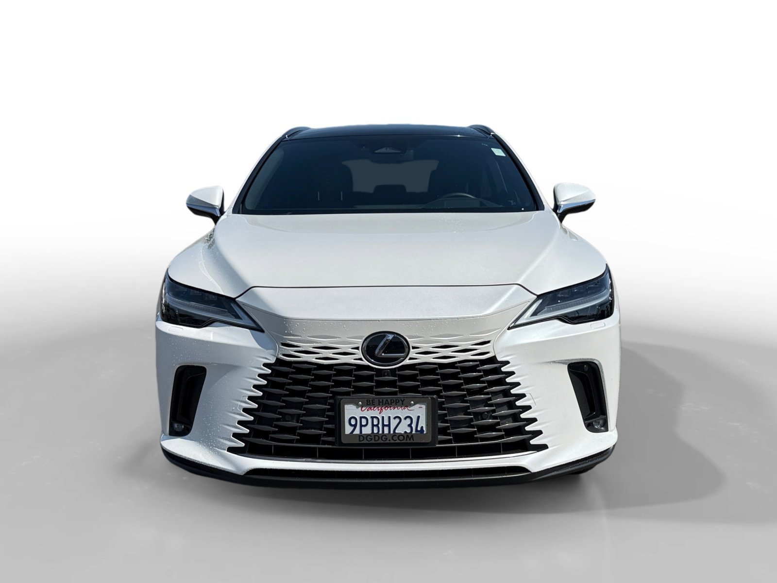 2024 Lexus RX 450h+ Luxury photo 8