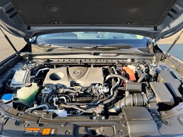 2025 Mazda CX-50 Premium Plus photo 19