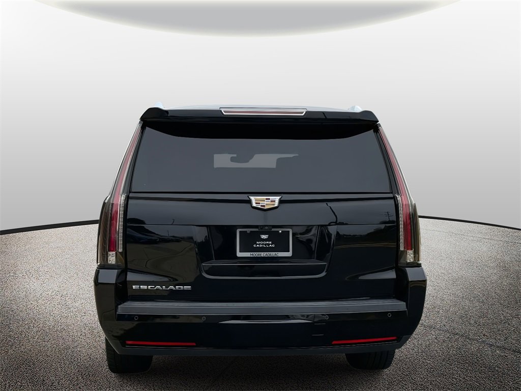 2019 Cadillac Escalade ESV Platinum photo 3