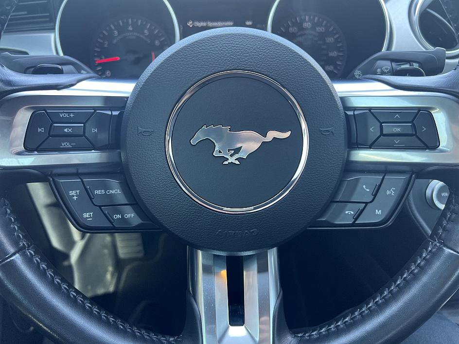 2019 Ford Mustang EcoBoost Premium photo 20