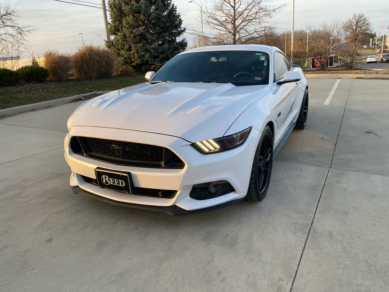 Used 2017 Ford Mustang GT Premium with VIN 1FA6P8CF8H5210130 for sale in Kansas City