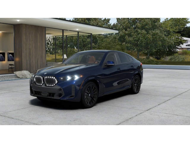 2026 BMW X6