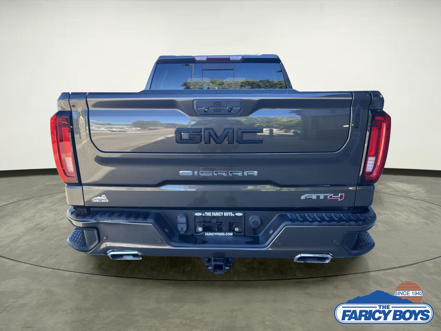 2019 Gmc Sierra 1500 AT4 photo 3