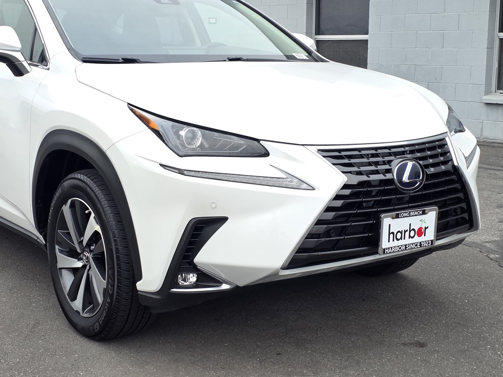 2018 Lexus NX 300h Luxury photo 8
