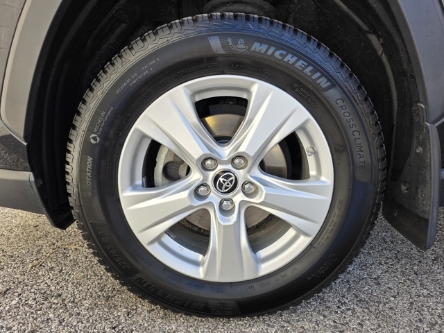 2019 Toyota RAV4 XLE photo 22
