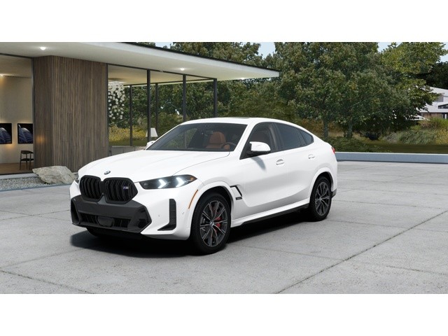 2026 BMW X6