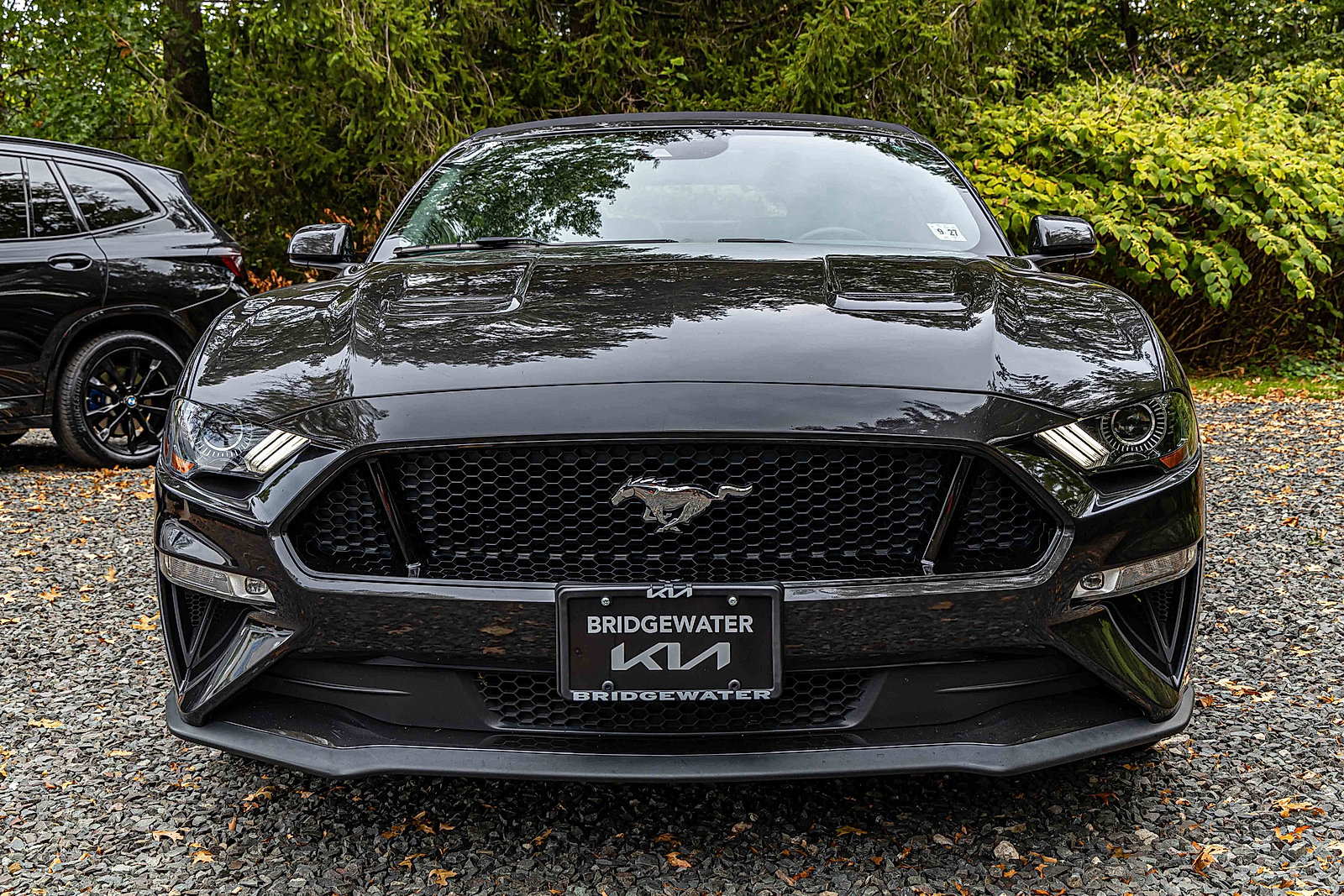 2022 Ford Mustang GT Premium photo 3