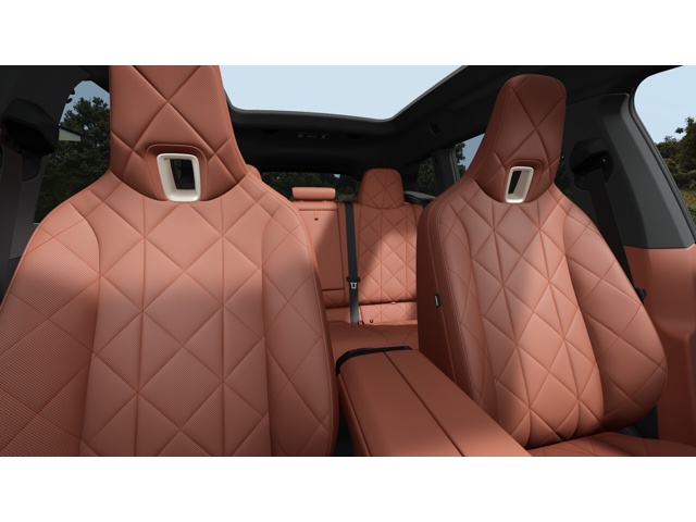 2026 Bmw iX photo 11