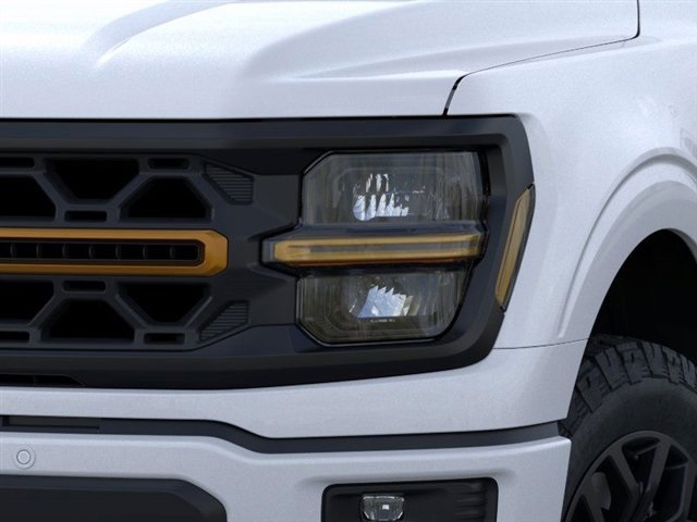2025 Ford F-150 Tremor photo 15