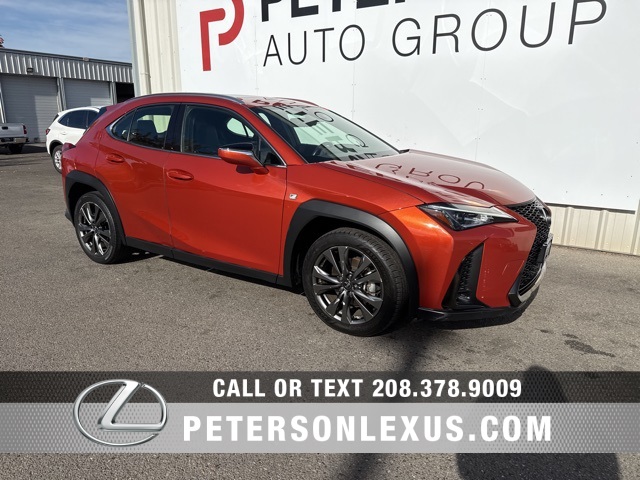 2019 Lexus UX Hybrid 250h
