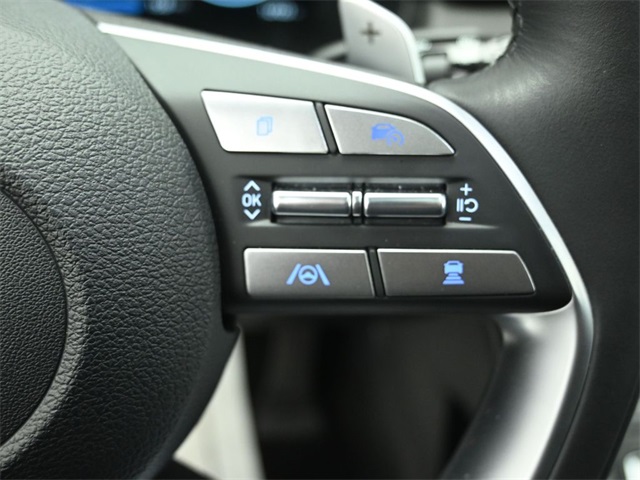 2024 HYUNDAI PALISADE - Image 14